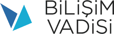Bilişim Vadisi logo